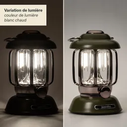 Lampenmodell in zwei Farben: eine schwarze und eine olivgrüne Version. Beide mit hellem Licht und transparentem Glas.