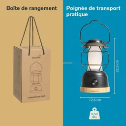 Verpackung einer Lampe in beige mit Griff neben der Lampe selbst, schwarz mit transparentem Lampenschirm und Holzsockel.