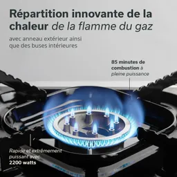 Kochfeld mit einem Gasbrenner, der blaue Flammen erzeugt. Text beschreibt innovative Wärmeverteilung und technische Spezifikationen.