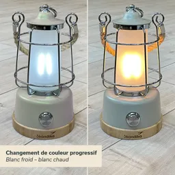 Tischlampe mit metallischem Gitter und Holzsockel, zwei unterschiedliche Lichtfarben: kalt und warm. Neutraler Hintergrund.