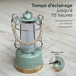 Grüne Campinglampe mit Metallgitter, Holzsockel und Seilgriff. Mikro-USB-Anschluss sichtbar. Holzfuß auf hellen, glatten Boden.