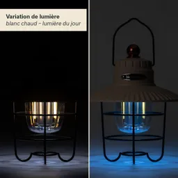 Lampe in zwei Lichtvariationen: links warmes Licht, rechts Tageslicht. Lampe in einem schwarzen Gestell und Glaskorpus.