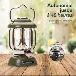 Grüne Lampe mit transparentem Glaskorpus auf einem Holztisch, im Hintergrund unscharfe grüne Pflanzen.
