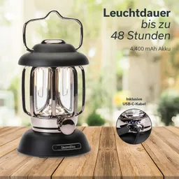 Eine laternenförmige Lampe auf einem Holzstich, mit einem schwarzen Gehäuse und einem silbernen Griff. Im Hintergrund verschwommenes Grün.