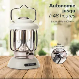 LED-Lampe mit einem weißen Gehäuse und einem silbernen Griff, auf einem Holztisch platziert. Im Hintergrund unscharfe Pflanzen.