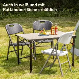 Faltbarer Tisch aus Holz mit vier Stühlen im Freien. Auf dem Tisch stehen Getränke und Obst. Grüne Wiese im Hintergrund.