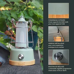 Grüne tragbare Lampe mit Metallgitter und Holzsockel, umgeben von Pflanzen. Technische Details rechts.