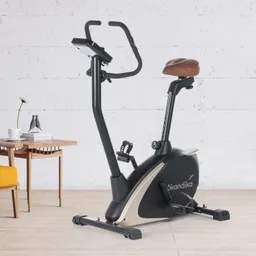 Heimtrainer mit schwarzem und goldenem Design, braunem Sitz und Griffen. Im Hintergrund ein Holztisch mit Pflanzen und Bücherstapeln.