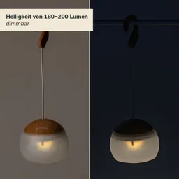 Hängende Lampe mit holzartig strukturierter Oberseite und transparenter unterer Halbkugel, die Licht ausstrahlt.