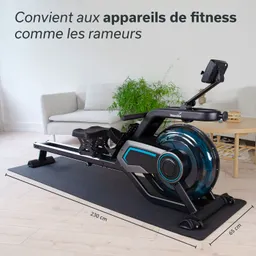 Fitnessgerät, ein Ruderergometer, auf einer Matte in einem hellen Raum. Im Hintergrund eine grüne Pflanze und ein Sofa.