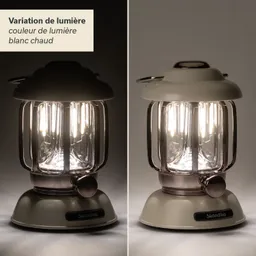 Eine Lampe mit einem transparenten Glaskörper und einem oberen Gehäuse in zwei Farbvarianten, links schwarz, rechts grau.