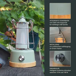 Dekorative Lampe mit Metallgitter und Holzfuß. Sie steht auf einem Holztisch, umgeben von Pflanzen. Funktionen sind auf der Seite beschrieben.