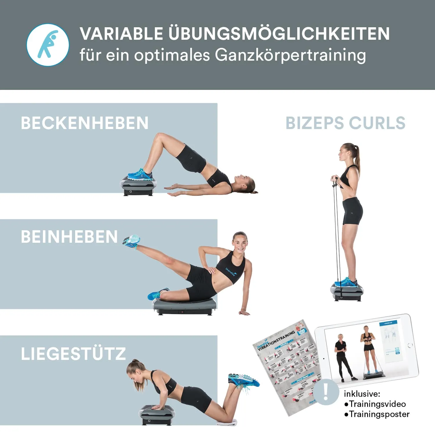 Grafik mit verschiedenen Übungen für Ganzkörpertraining: Beckenheben, Beinheben, Liegestütz und Bizeps Curls. Illustrationen von Personen in Sportkleidung. Hinweise auf Trainingsvideo und Trainingsposter.