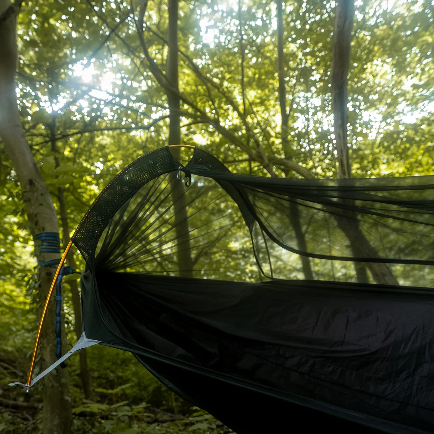 Schwarze Hängematte mit Moskitonetz in einem Wald, umgeben von grünen Bäumen und diffusen Lichtstrahlen.