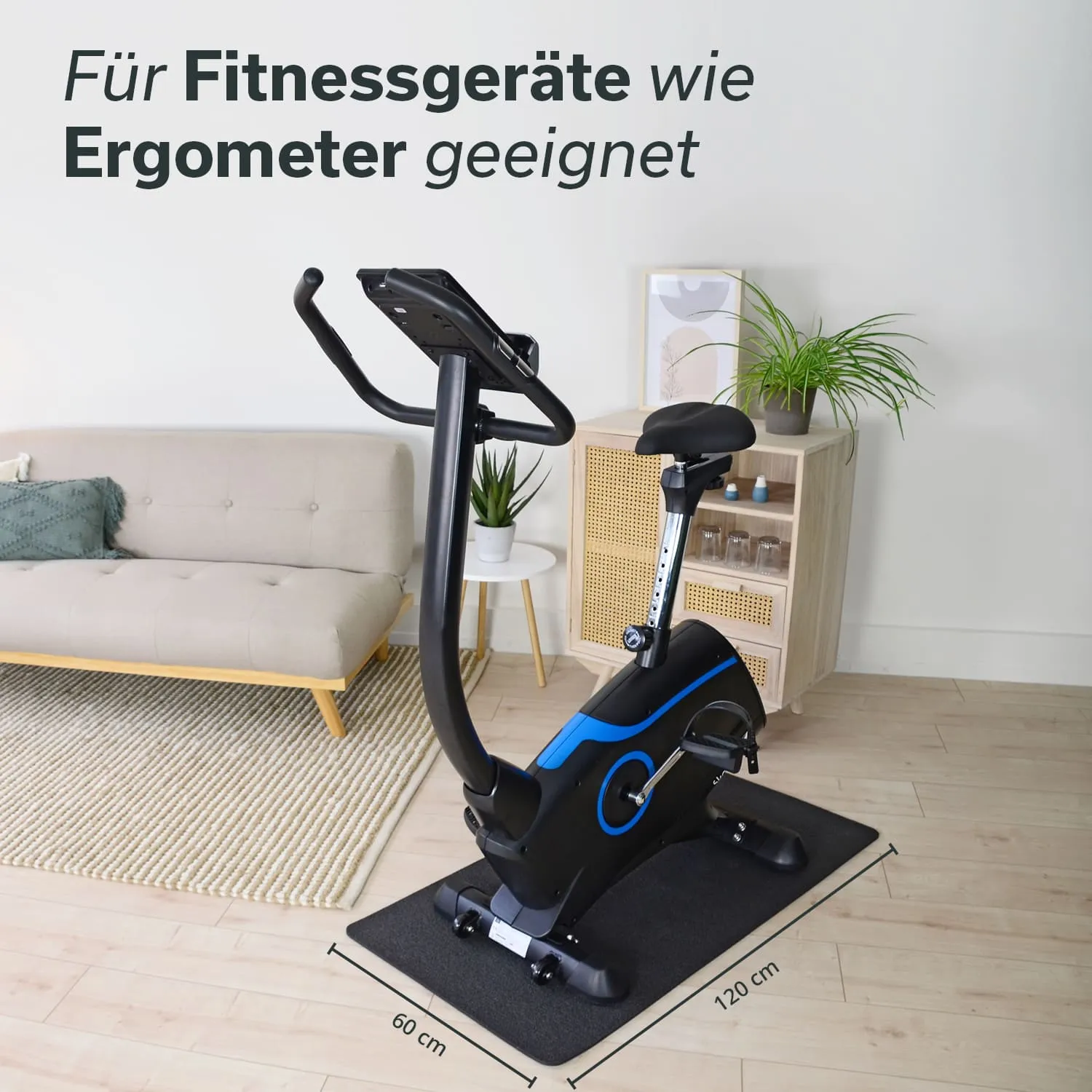 Fitnessgerät in Form eines Ergometers auf einer Matte, mit Sofa, Pflanzen und einem Regal im Hintergrund.