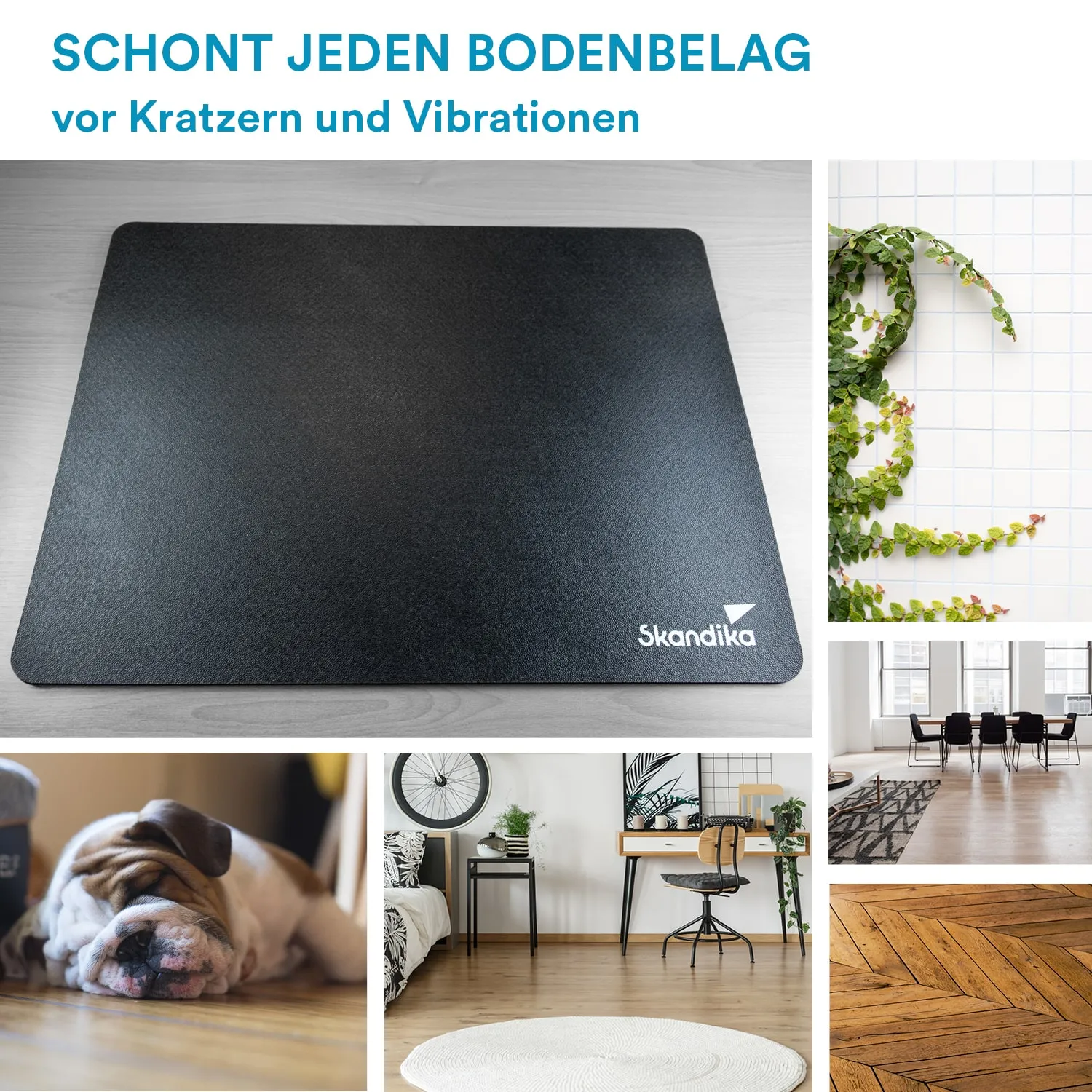 Schwarze Schutzmatte auf hellem Untergrund, umgeben von Bildern von Pflanzen, einem schlafenden Hund, einem modernen Raum und verschiedenen Bodenbelägen.
