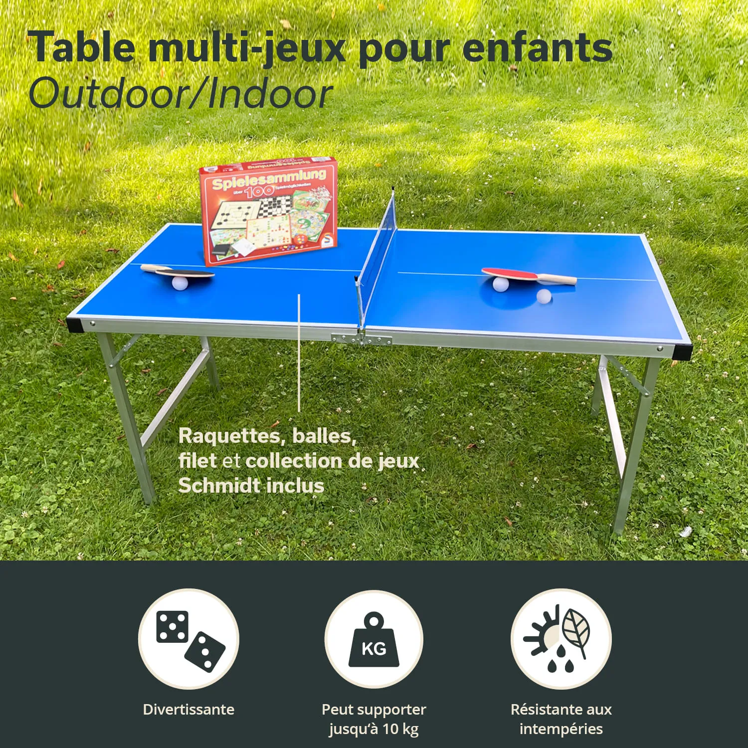 Blaue Tischtennis-Spieltisch mit Schlägern, Bällen und einer Spiele-Sammlung auf grünem Gras.
