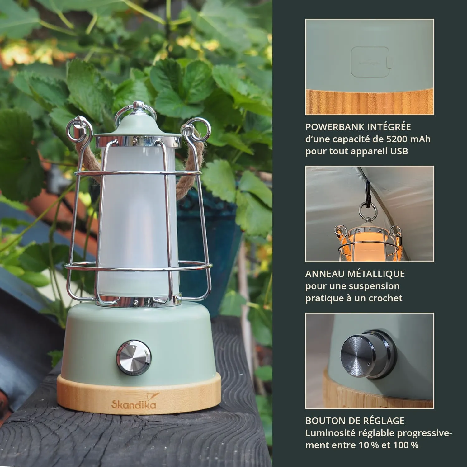 Grüne tragbare Lampe mit Metallgitter und Holzsockel, umgeben von Pflanzen. Technische Details rechts.