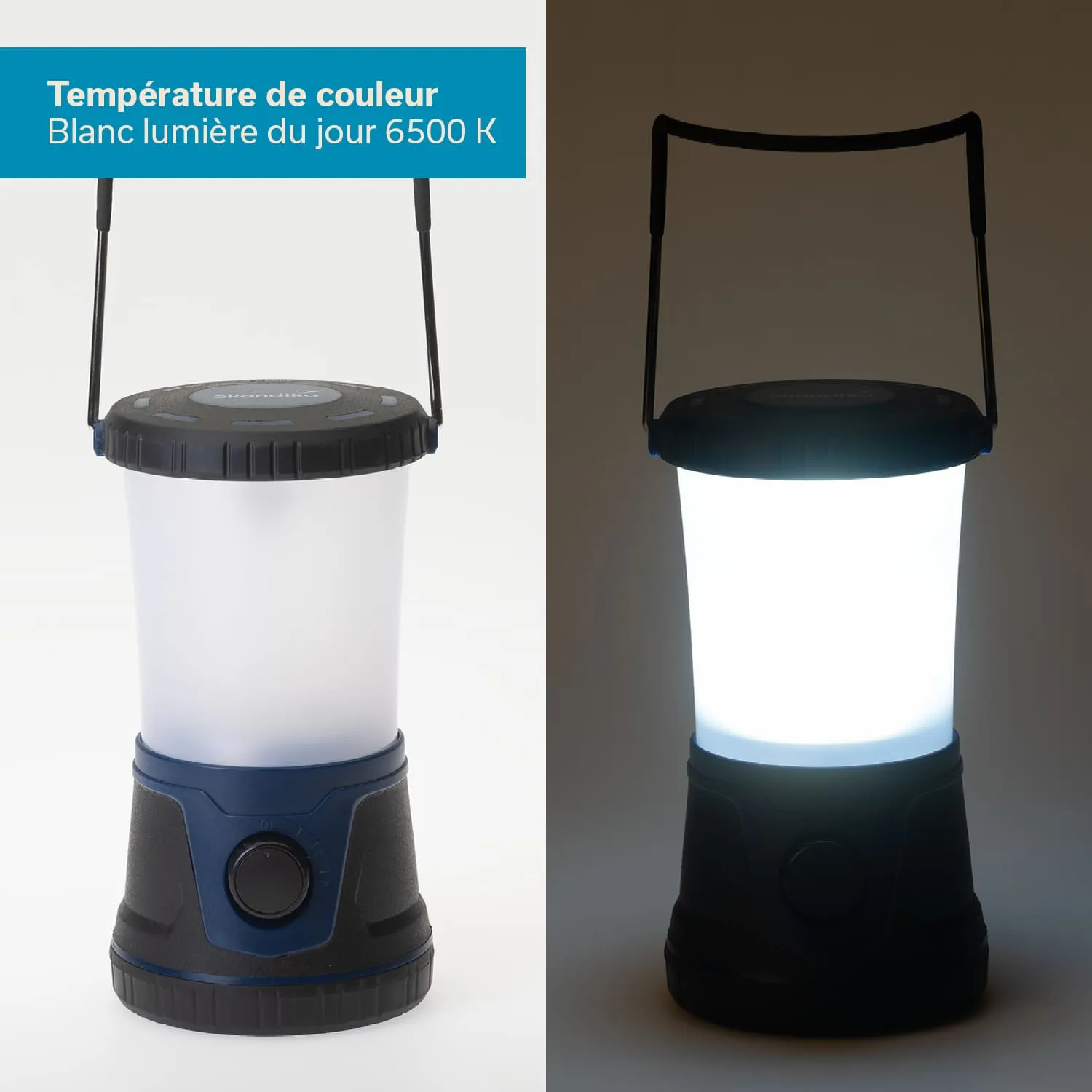 Eine tragbare Lampe mit einem transparenten Schirm und einem blauen, runden Sockel. Der obere Bereich ist beleuchtet.