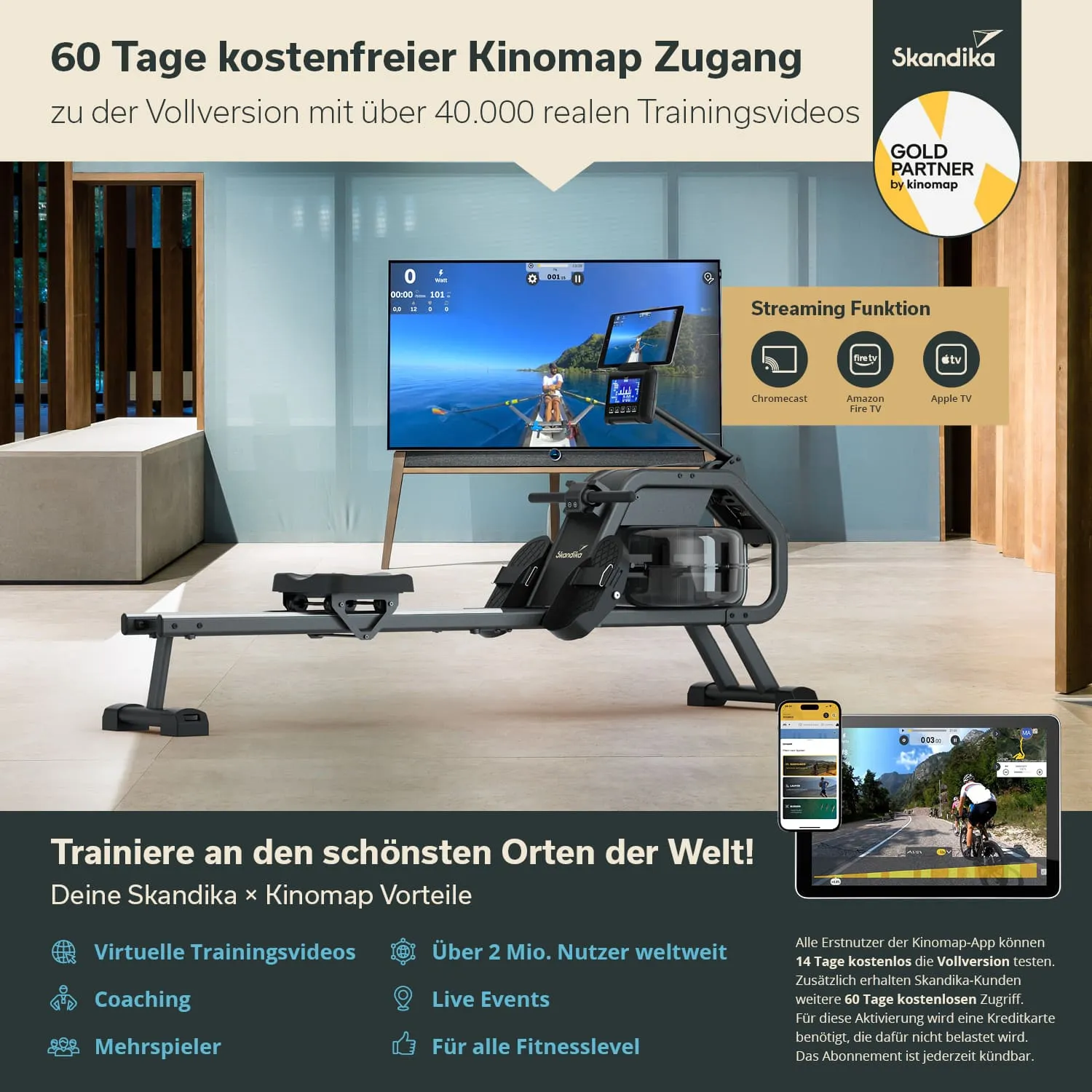 Rudergerät vor einem Fernseher. Auf dem Bildschirm sind Trainingsvideos und Informationen. Hellblauer Raum mit Holzdetails.