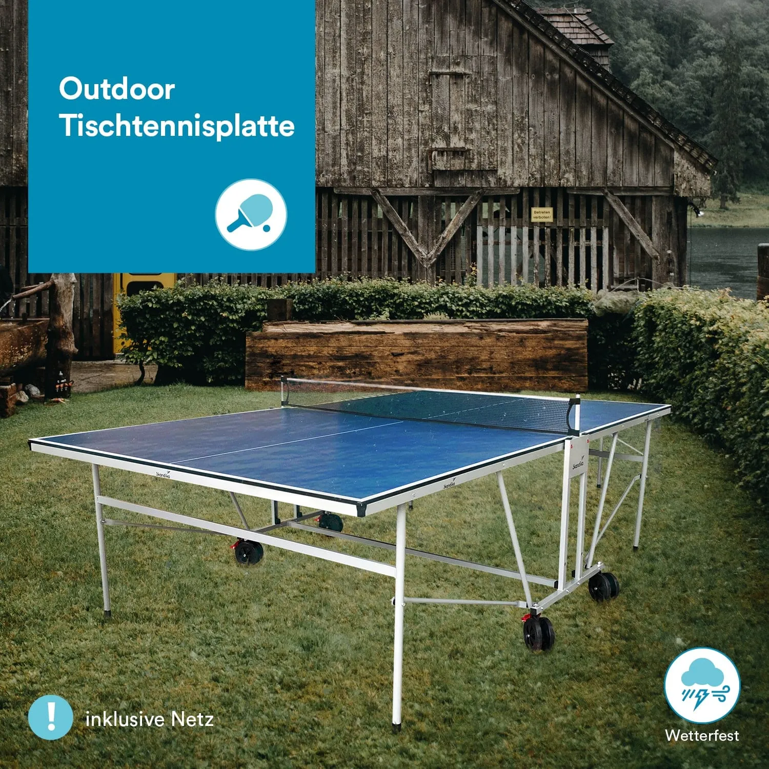 Outdoor Tischtennisplatte mit blauer Oberfläche, auf einem Rasen vor einem Holzgebäude.