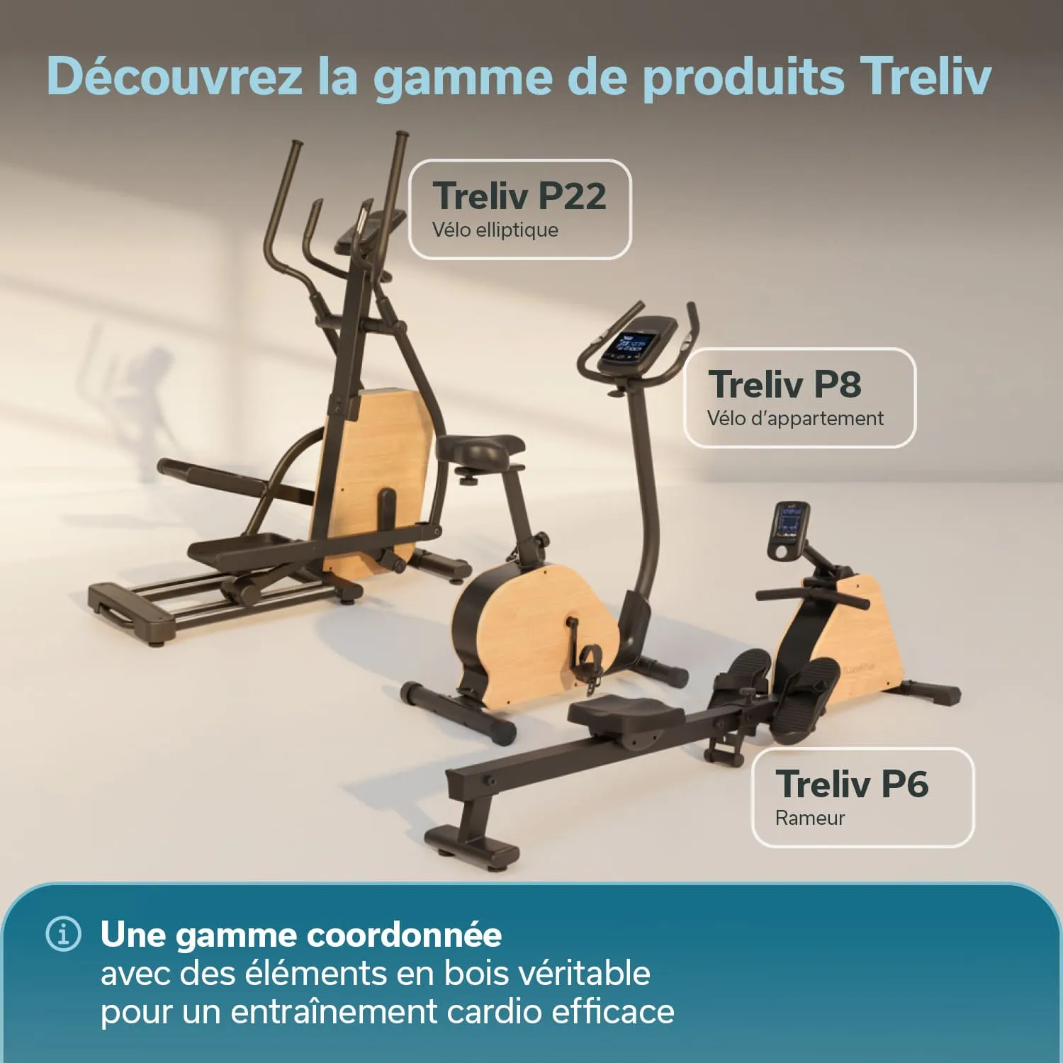 Drei Fitnessgeräte stehen nebeneinander: ein elliptisches Fahrrad, ein Heimtrainer und ein Rudergerät. Holzelemente sind sichtbar.