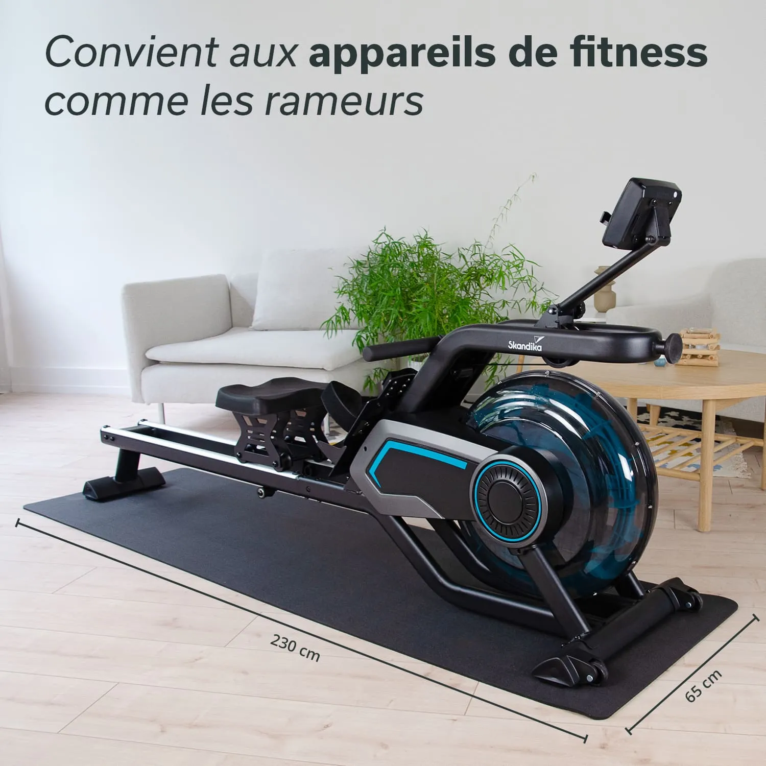 Fitnessgerät, ein Ruderergometer, auf einer Matte in einem hellen Raum. Im Hintergrund eine grüne Pflanze und ein Sofa.
