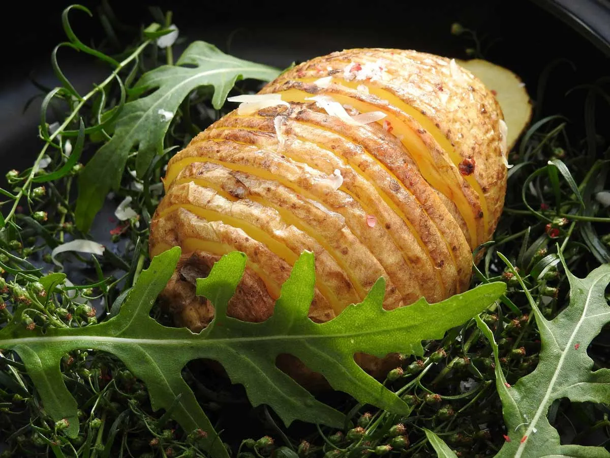 Fächerkartoffel mit Rucola