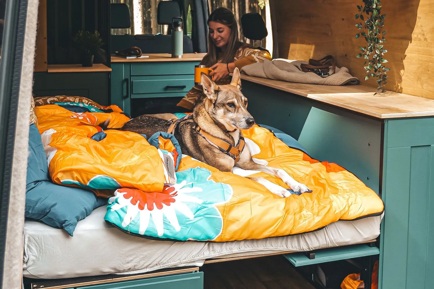 Schlafsack Sovro im Bett eines Campervans mit Hund drauf