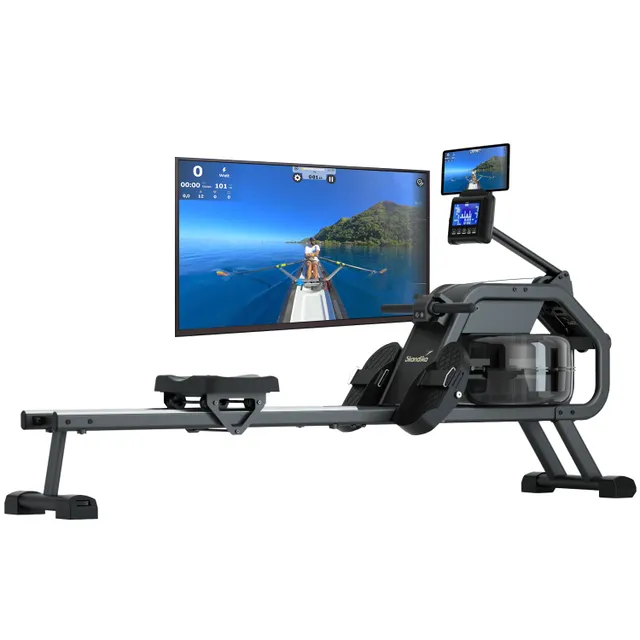 Rudergerät mit Monitor und Bildschirm, der eine Ruderbootszene auf einem ruhigen Gewässer zeigt.