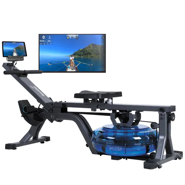 Rudergerät mit Wassertank und Monitor. Auf dem Monitor ist eine Ruder-Simulation in einer Landschaft zu sehen.