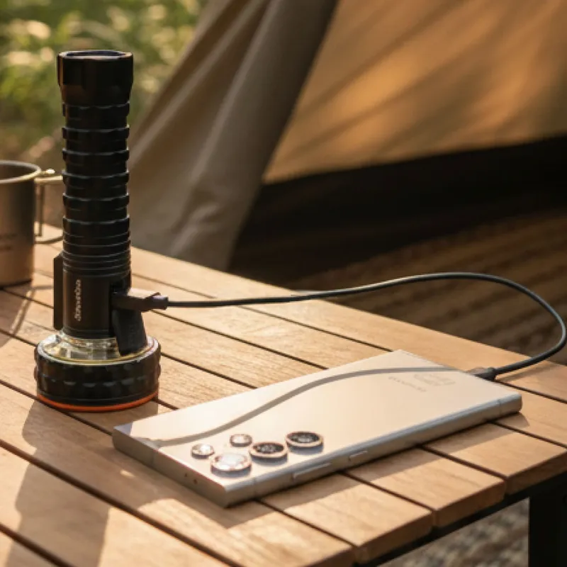 Powerbank-Funktion