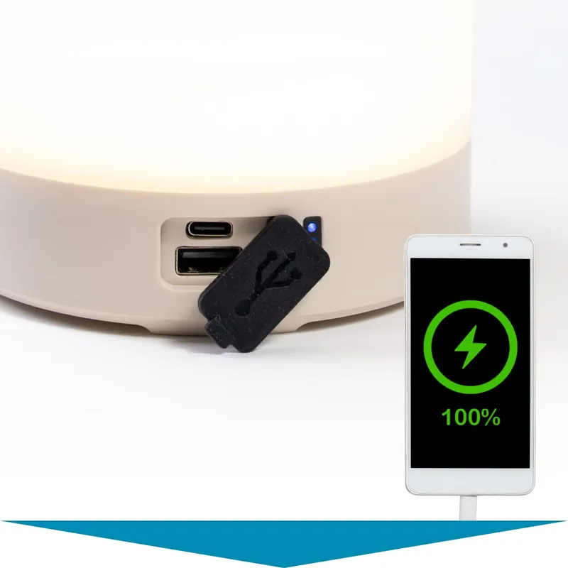 Powerbank-Funktion
